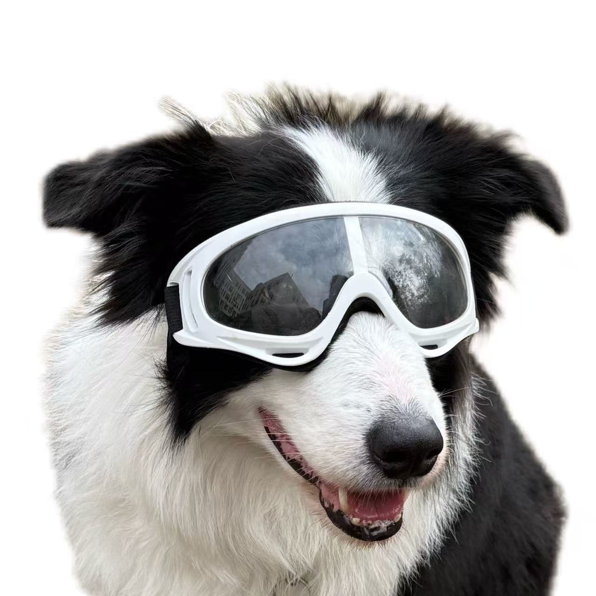Pet Dog Windproof Goggles With Dual Straps To Prevent Slipping