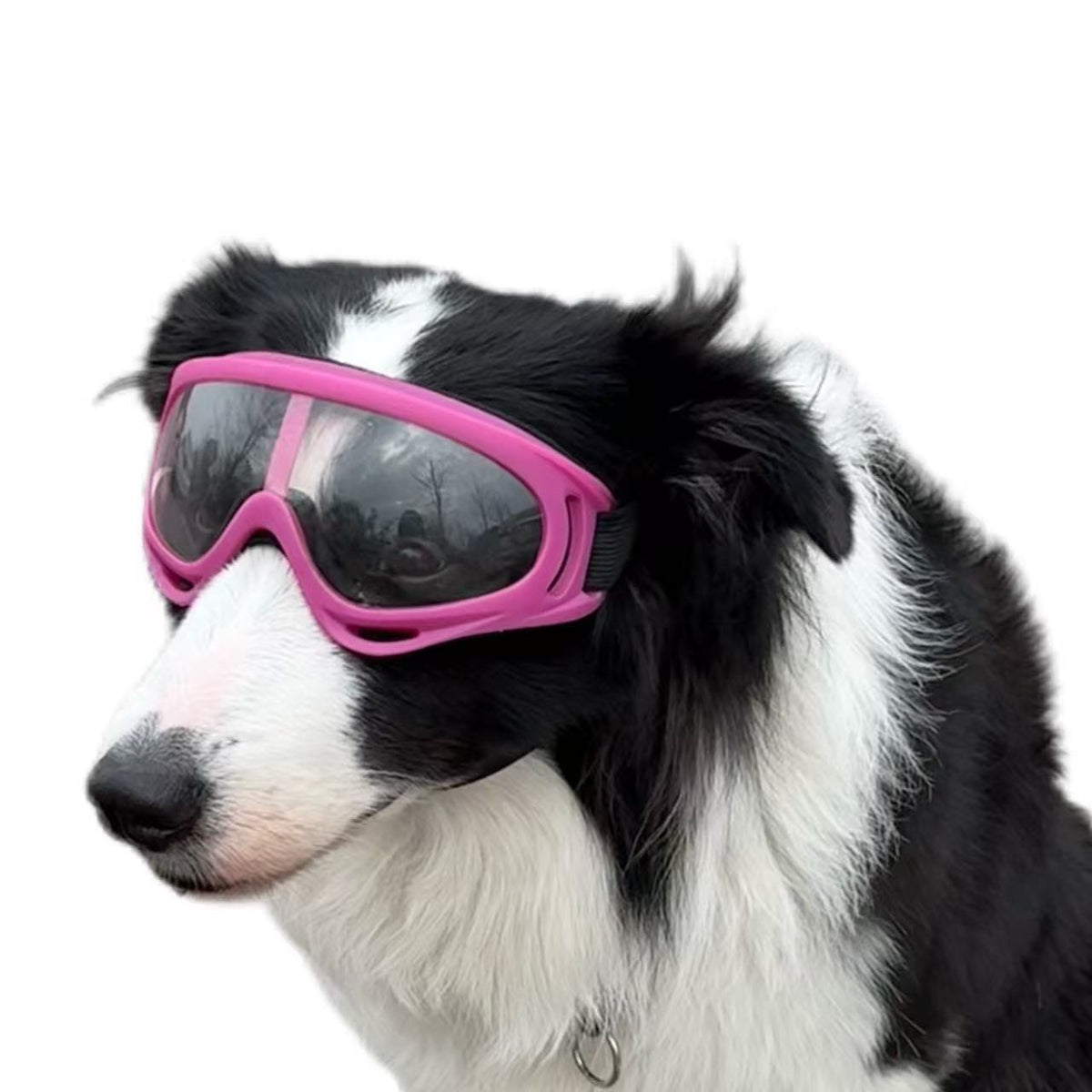 Pet Dog Windproof Goggles With Dual Straps To Prevent Slipping