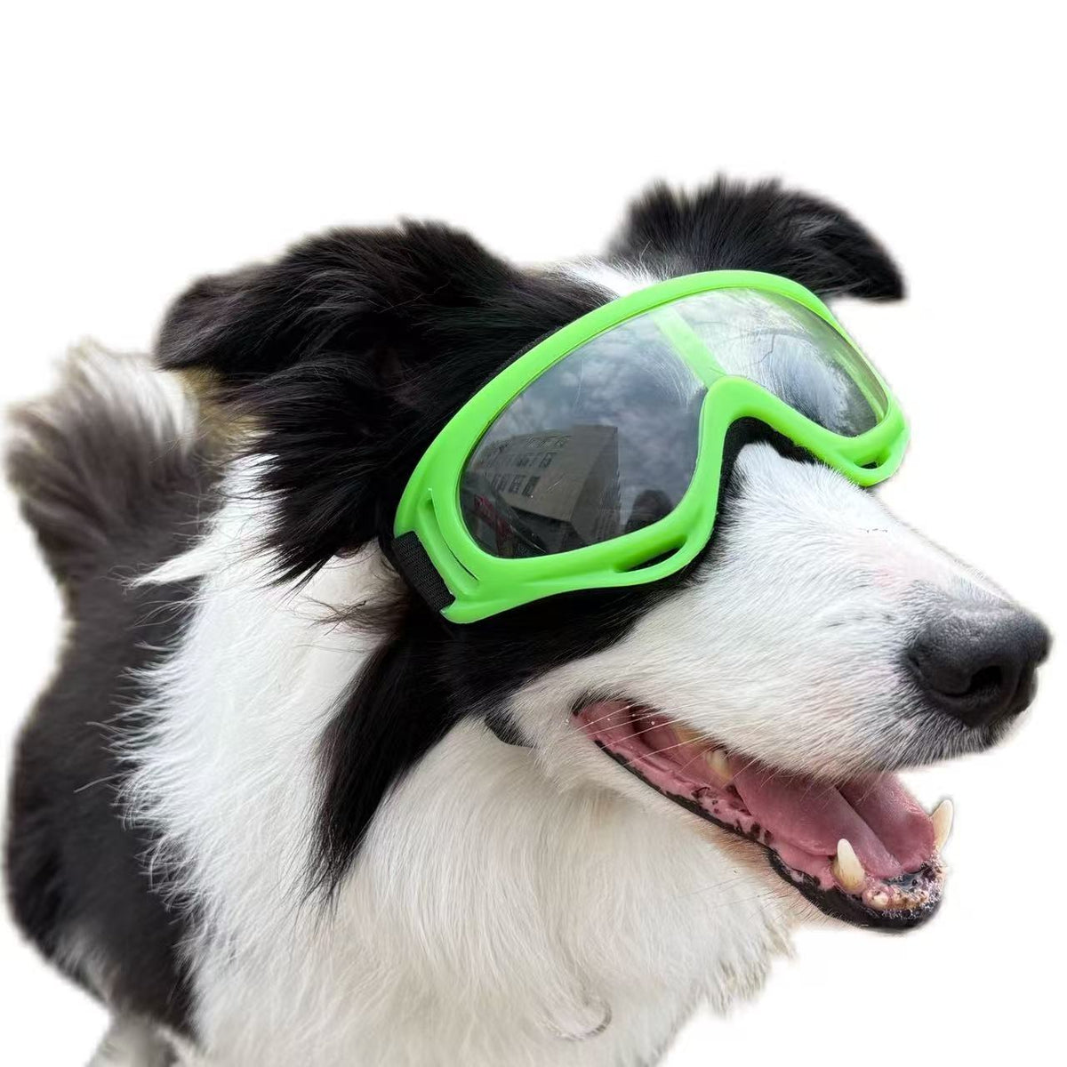 Pet Dog Windproof Goggles With Dual Straps To Prevent Slipping