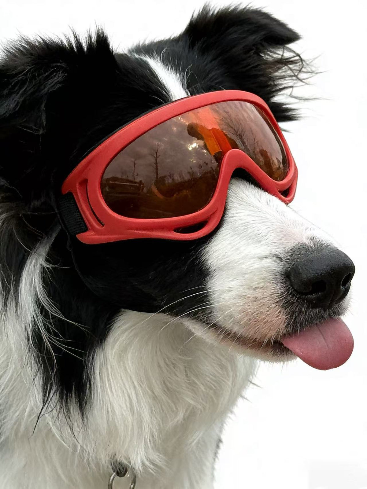 Pet Dog Windproof Goggles With Dual Straps To Prevent Slipping