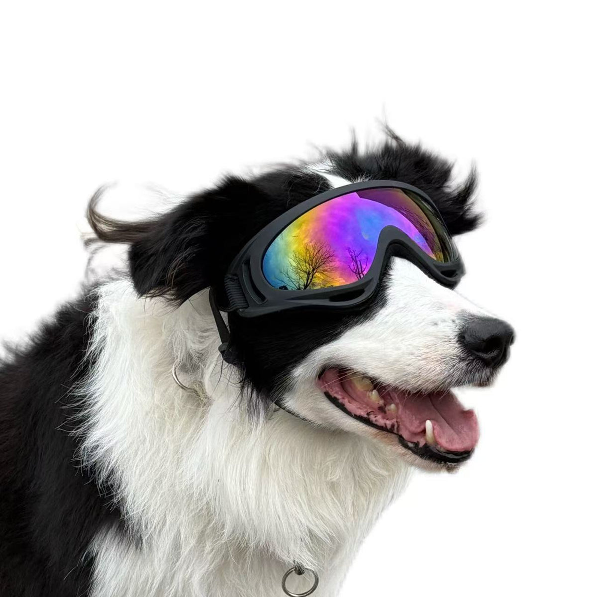 Pet Dog Windproof Goggles With Dual Straps To Prevent Slipping