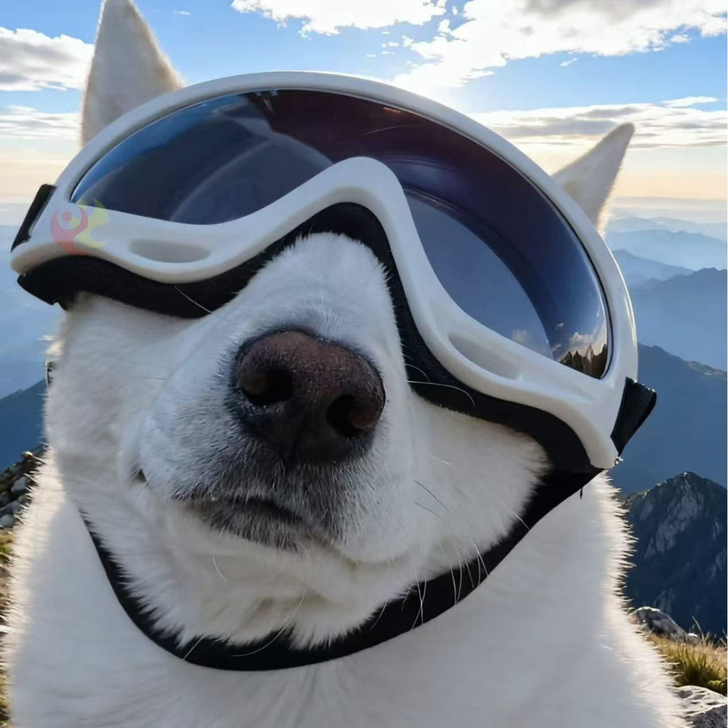 Pet Dog Windproof Goggles With Dual Straps To Prevent Slipping