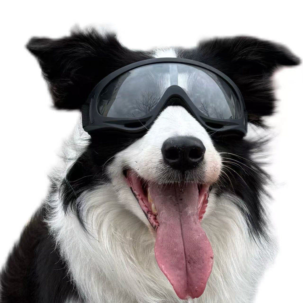 Pet Dog Windproof Goggles With Dual Straps To Prevent Slipping