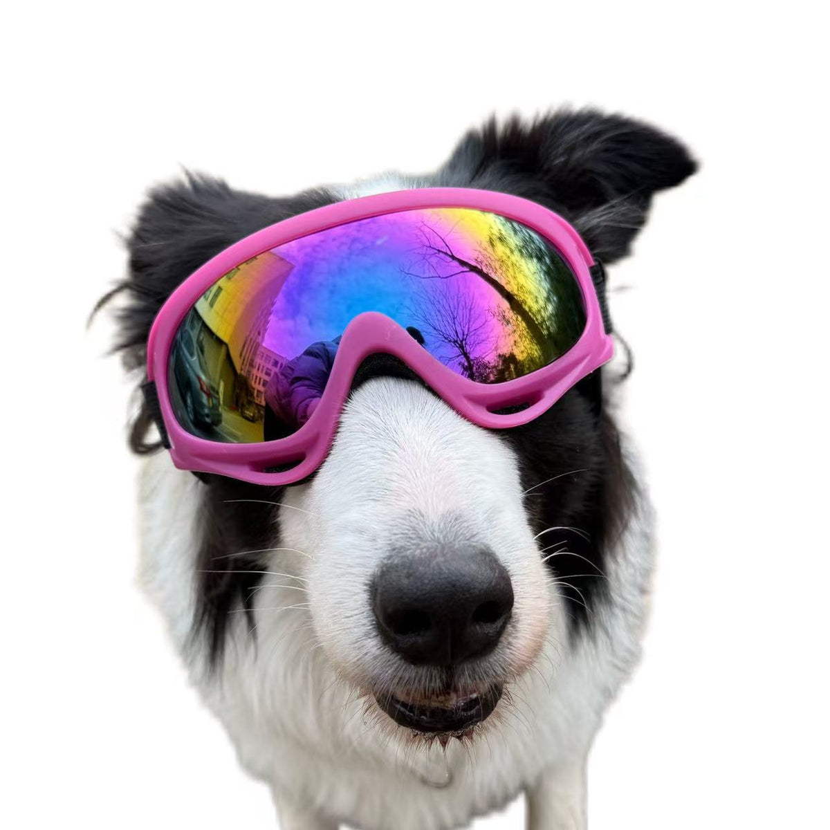 Pet Dog Windproof Goggles With Dual Straps To Prevent Slipping