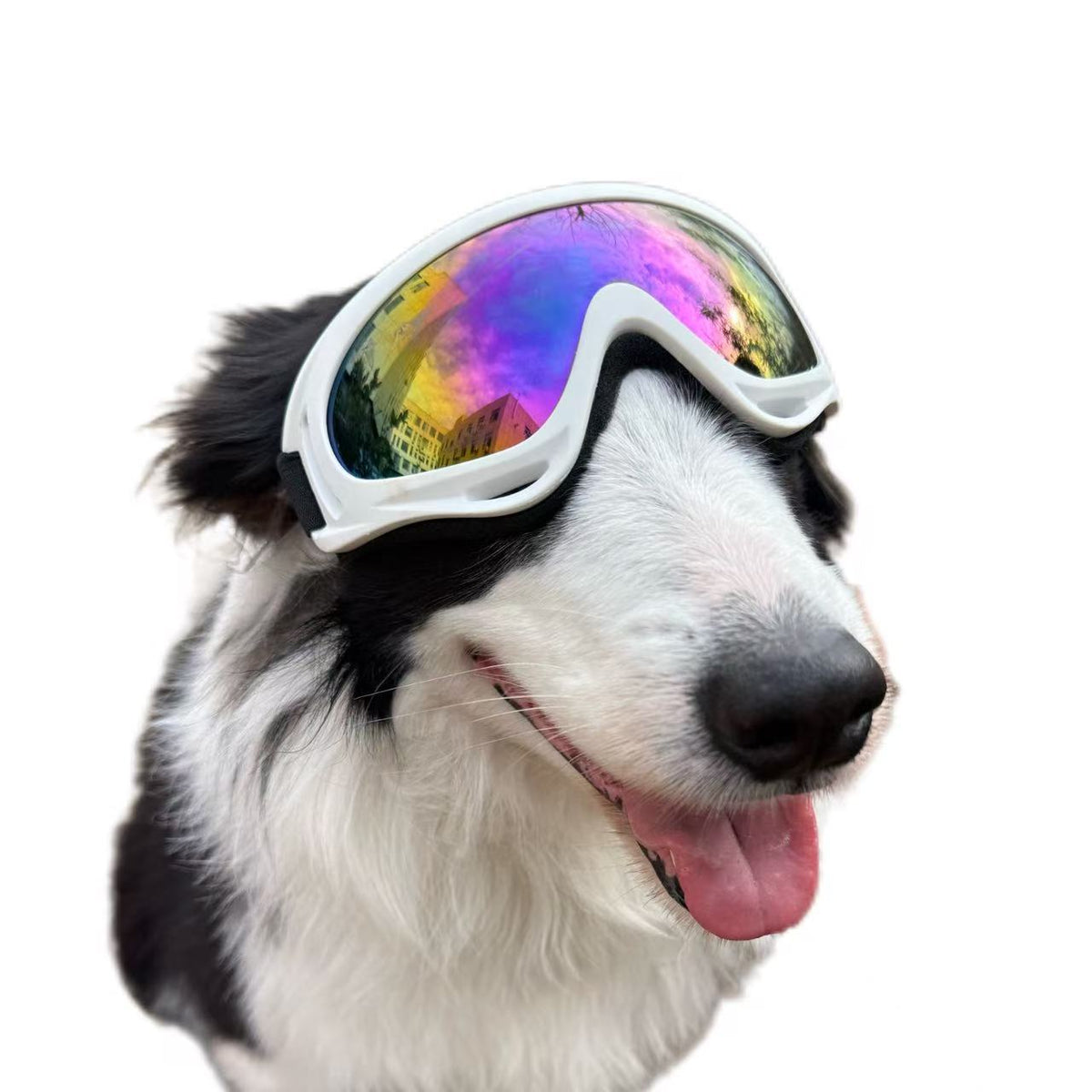 Pet Dog Windproof Goggles With Dual Straps To Prevent Slipping
