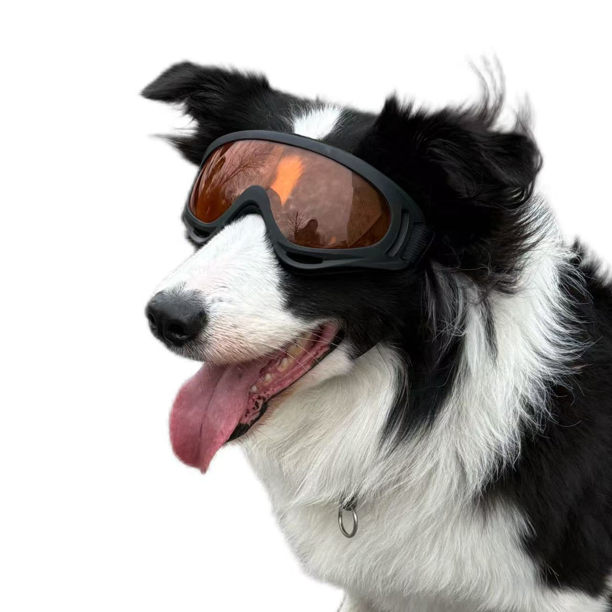 Pet Dog Windproof Goggles With Dual Straps To Prevent Slipping
