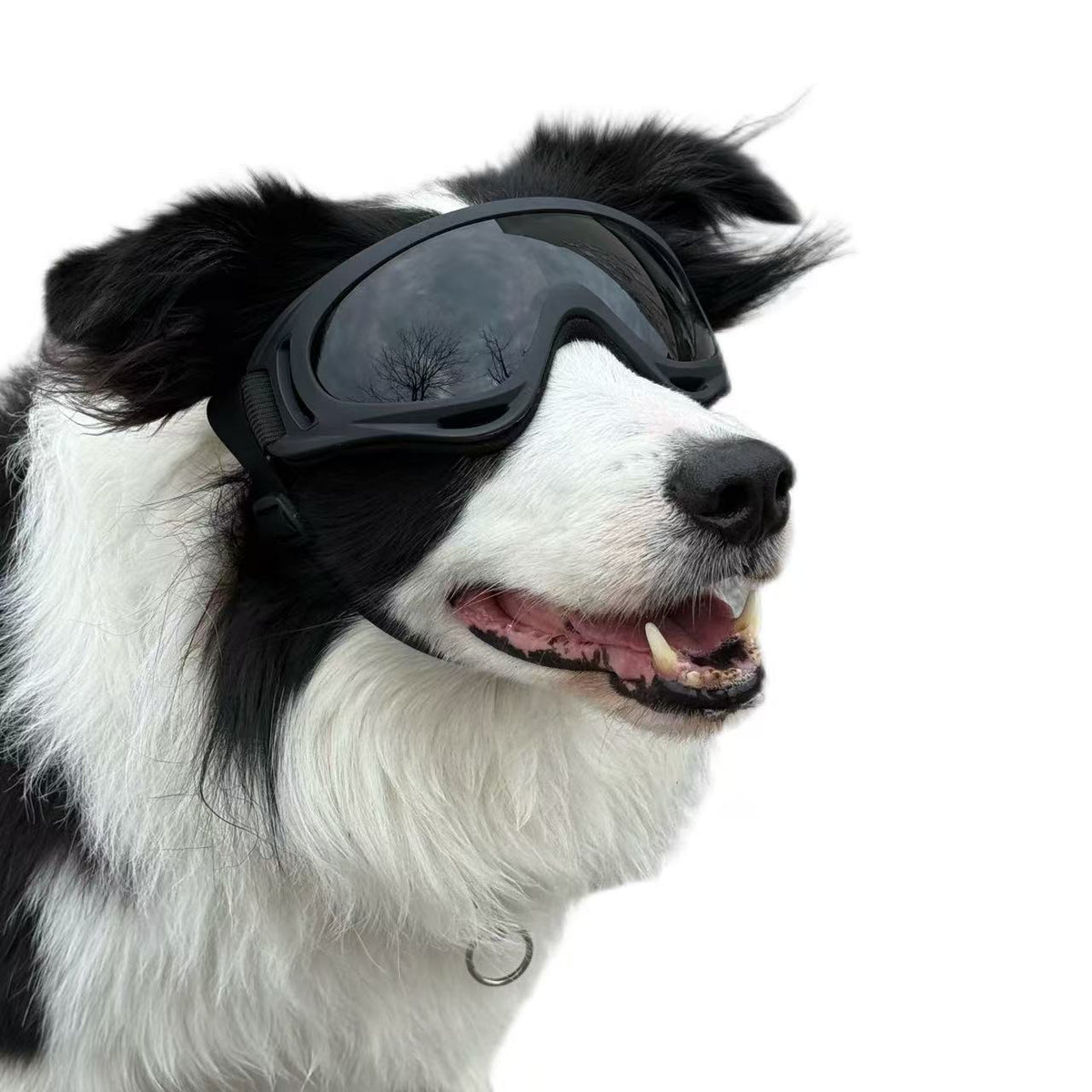 Pet Dog Windproof Goggles With Dual Straps To Prevent Slipping