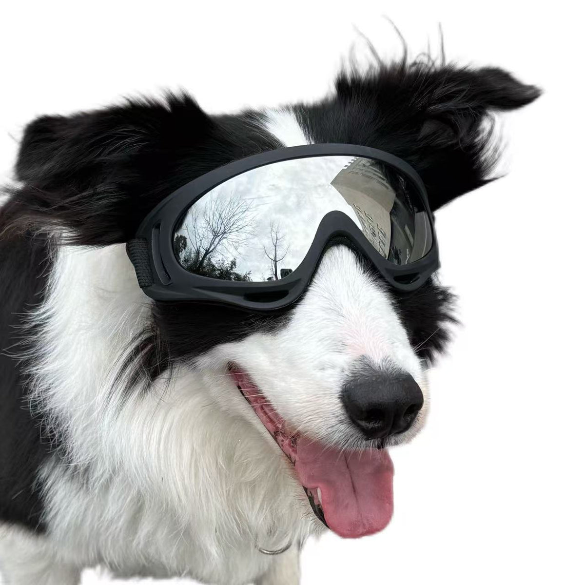 Pet Dog Windproof Goggles With Dual Straps To Prevent Slipping