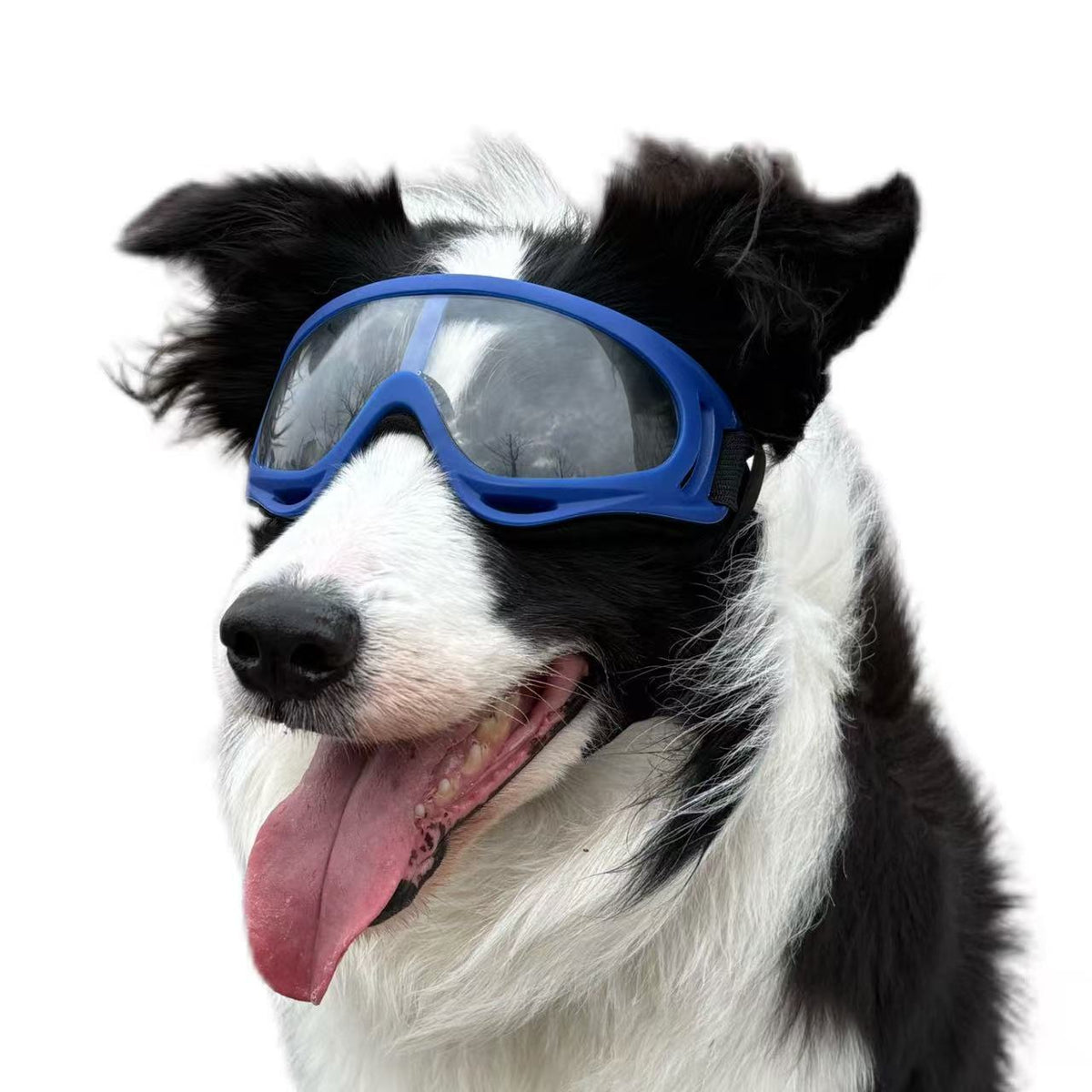 Pet Dog Windproof Goggles With Dual Straps To Prevent Slipping