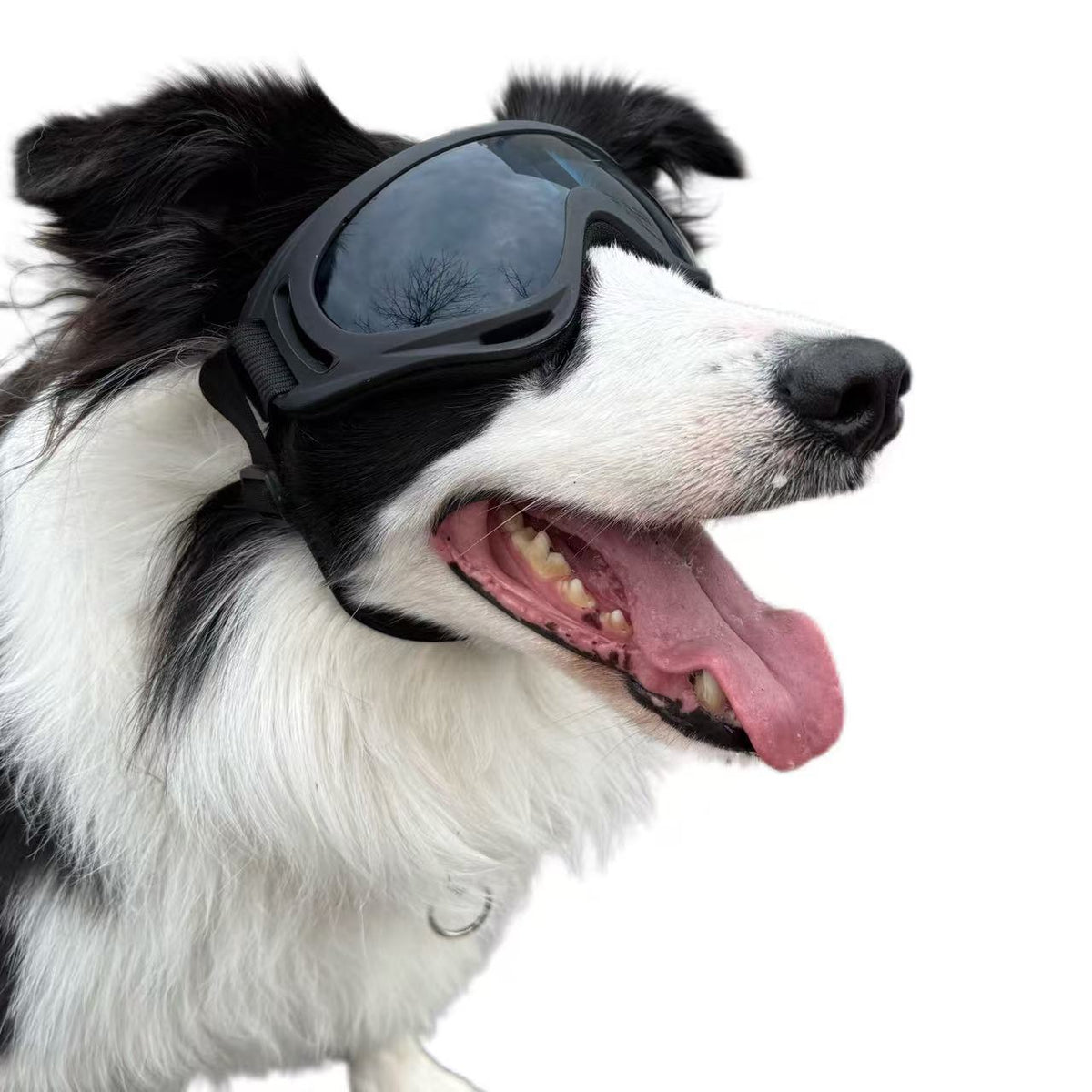 Pet Dog Windproof Goggles With Dual Straps To Prevent Slipping